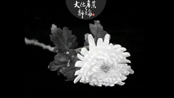 江泽民：关于文化建设的重要论述摘编