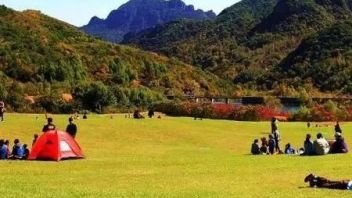 重点关注 | 文化和旅游部将组织开展2022年<b>文化和旅游企业</b>服务月活动