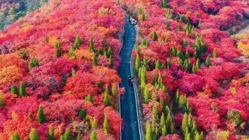 【案例分析】炼就最“红”景区<b>操作手册</b>