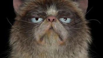 这毛发，这神态！A站超强3D猫猫狗狗<b>作品欣赏</b>，简直太好rua~