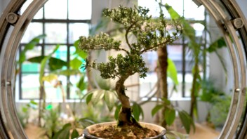凤凰艺术｜第103个五四青年节，艺术界的新青年们有话说！