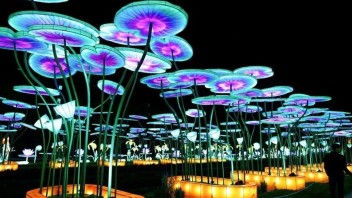 法国植物园“微小世界”灯光节