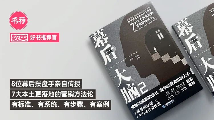营销 方法论 书 干货 幕后大脑