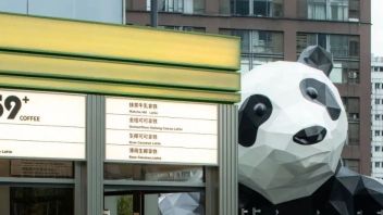 成都IFS熊猫打卡点旁有家<b>剧院式咖啡馆</b>