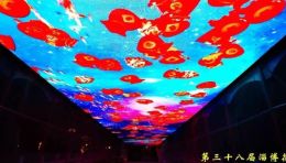 【华奥传媒】案例篇丨山东·淄博—2020中国淄博花灯艺术节”亮灯啦!