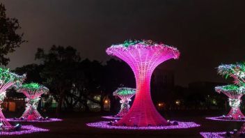 巨型花形灯光艺术装置“Blossoming Light”