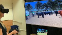 VR+农业！澳大利亚阿德莱德大学用VR培训学生学习养牛技巧
