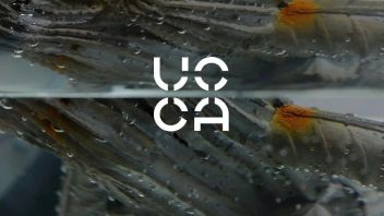 UCCA双展预见丨张如怡机构个展，杰夫·奥本海默<b>中国首展</b>