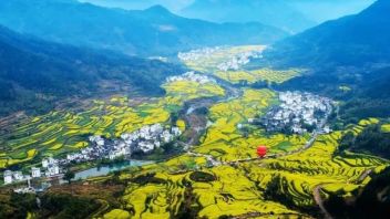 提前收藏！2023年乡村振兴<b>补助资金</b>汇总