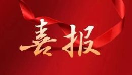 幻维数码获评“2022年上海版权优势单位”