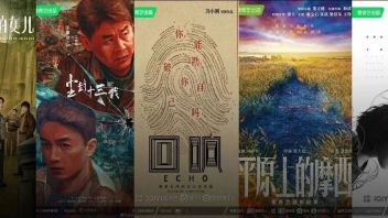 “迷雾”第三年，剧场进入“会员追剧”时代？| 对话<b>爱奇艺</b>戴莹