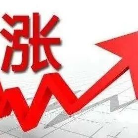 6家照企出炉年报，三安光电营收破百亿！