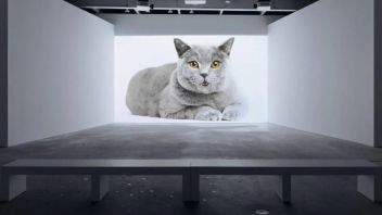 重复是我们时代的症候：芭芭拉·克鲁格纽约双展