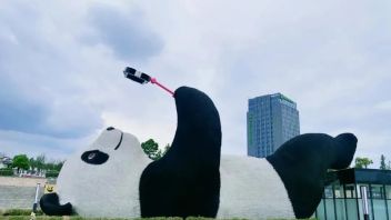 主题馆宣传片丨熊猫爱好者的新地标，携手骄阳走进成都<b>大熊猫</b>博物馆