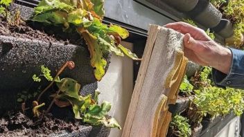18个<b>典型案例</b>，看懂城市生物多样性设计