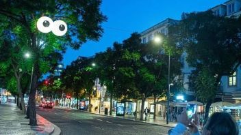 【Shiny Art资讯】3月<b>全球公共艺术</b>速览