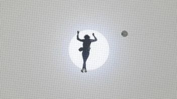 “如何在蜘蛛网中聆听宇宙？”