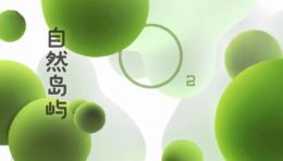 盒子里的小森林