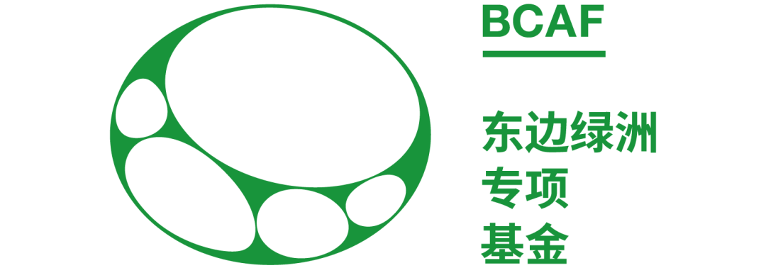 艺术驻留｜2023云南维西塔城驻地计划——艺术公益项目-数艺网