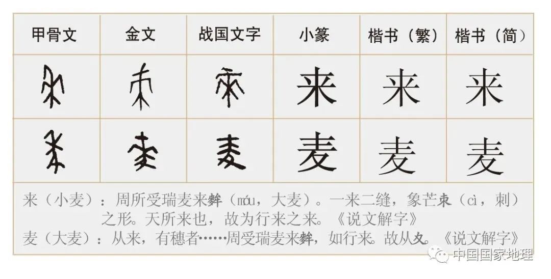 【乡村振兴】中国人的四大主粮-数艺网