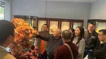 10个文博提案建议 | 浙江文物工作将在11方面发力｜河南发现570座古墓葬