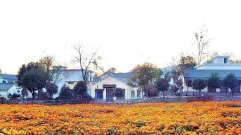 【乡村振兴】旅游和民生的下一个引擎