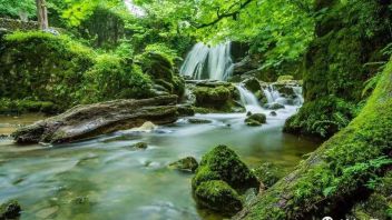 <b>多元融合</b>的“新蓝海”！康养旅游该如何布局？