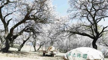 【文化旅游】“五一”出游：半径缩减 深度拓展