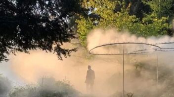 【625】建筑景观 | 雾气、灯光和增强现实笼罩的薄雾花园