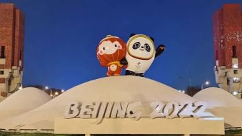 冬奥进行时 | 良辰打造多处城市<b>景观装置</b>，扮靓“双奥之城” ！