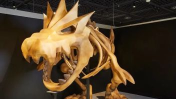 精灵宝可梦联动日本国立自然科学博物馆推出<b>VR线上展</b>“Pokémon化石博物馆”