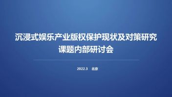 <b>沉浸式娱乐产业</b>版权保护现状及对策研究课题内部研讨会