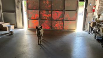 <b>劳伦·奎因</b>中国首展：在绘画中寻找失控的锐利感