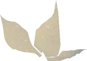 s0.png