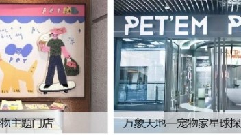 湾区引力，全球商业投资者重仓深圳