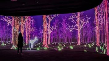 建筑景观 | 360°全景+VR+3D+8K，韩国首个常设“沉浸式数字画廊”的博物馆