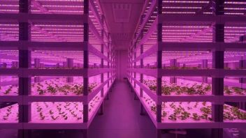 物美建LED照明<b>植物工厂</b>，将拓展私人定制模式