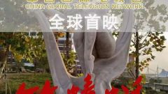 纪录电影《竹蜻蜓》将由中央广播电视总台CGTN全球首映
