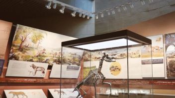 展馆空间<b>设计作品展示</b>51|甘肃和政桦林古动物化石埋藏原址馆