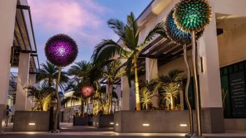 美国棕榈滩的大型“花朵”在夜里绽放！