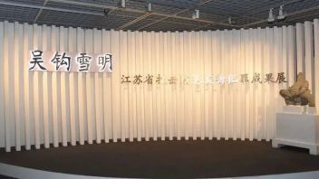 江苏大展，<b>南博</b>开幕