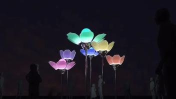 与光共舞｜花开好了