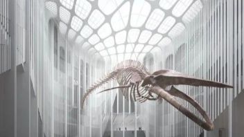 <b>建筑可视化</b>公司的设计工作是如何进行的？