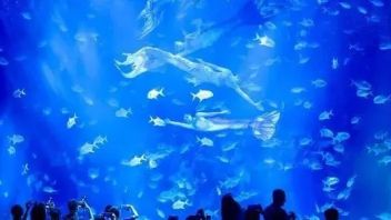 CAAPA会员资讯：海昌海洋公园就“奥特曼”系列签署许可使用协议；华强方特成立文化科技公司