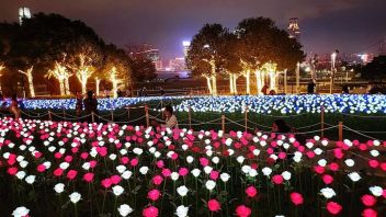逾万朵LED玫瑰花空降香港金钟添马公园！超适合夜间打卡！