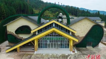 【文博日报】国家文物局领导调研 | 又一中字头分馆开建 | 耒阳禁山墓群新发现