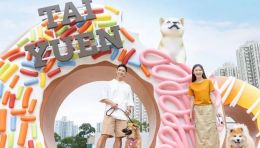 大元商场2万尺「Play Eat Tai Yuen」宠物共享花园