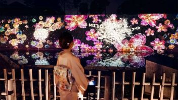 沉浸式空间|落樱缤纷的春天，一起打卡“<b>夜赏樱花</b>”的新玩法吧~