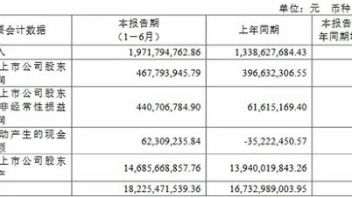 <b>中微公司</b>披露半年报，上半年扣非净利增超600%！