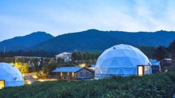 【文化旅游】<b>沉浸式露营</b>——属于夏天的浪漫